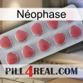 Néophase 18